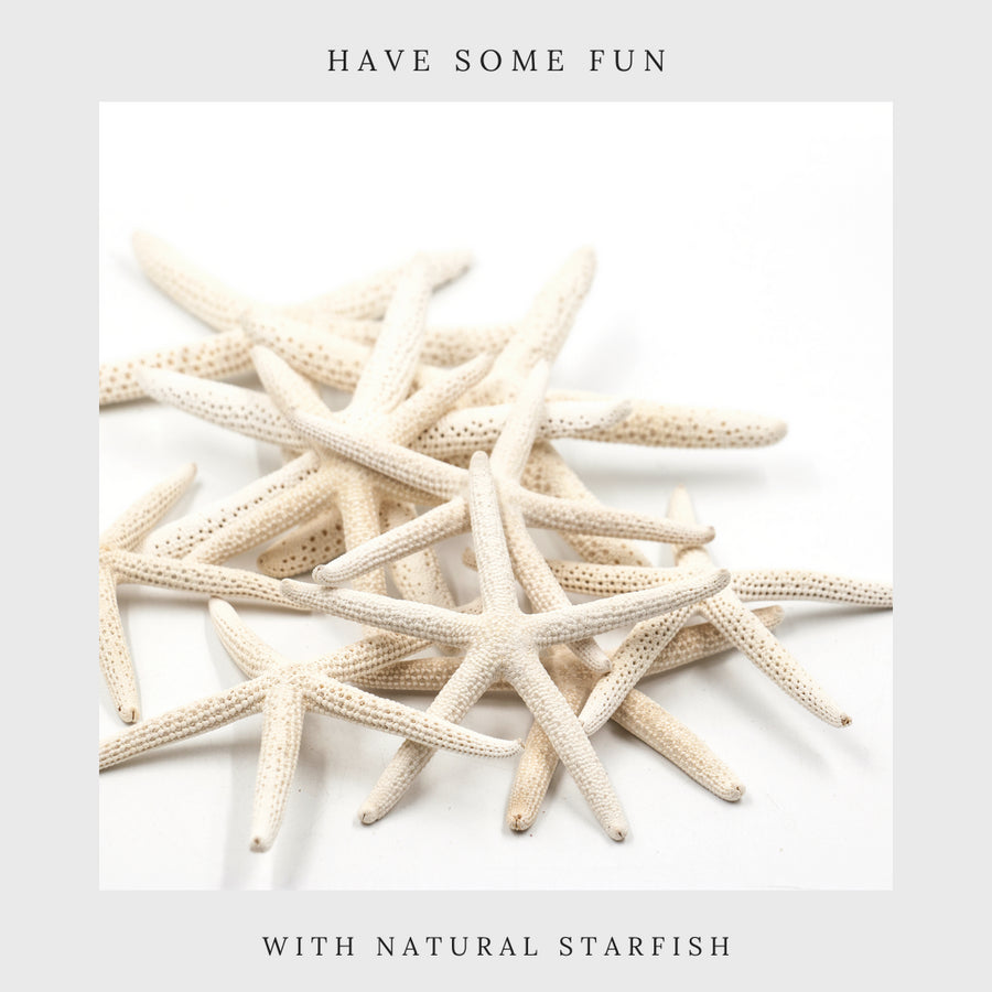 have some fun shop finger starfish